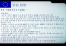 각국의 중소기업 정책 입안과 실시 [유럽연합 집행위원회 기업정책총국][유럽투자펀드] 6페이지