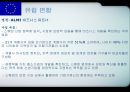 각국의 중소기업 정책 입안과 실시 [유럽연합 집행위원회 기업정책총국][유럽투자펀드] 8페이지