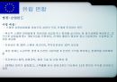 각국의 중소기업 정책 입안과 실시 [유럽연합 집행위원회 기업정책총국][유럽투자펀드] 11페이지