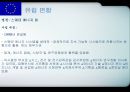 각국의 중소기업 정책 입안과 실시 [유럽연합 집행위원회 기업정책총국][유럽투자펀드] 13페이지