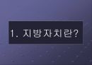 지방자치의 이해  2페이지
