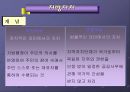 지방자치의 이해  3페이지