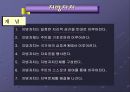 지방자치의 이해  4페이지