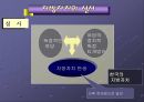 지방자치의 이해  8페이지