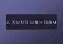 지방자치의 이해  12페이지