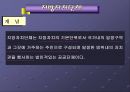 지방자치의 이해  13페이지