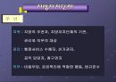 지방자치의 이해  17페이지