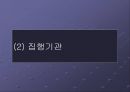 지방자치의 이해  25페이지