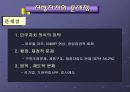 지방자치의 이해  29페이지