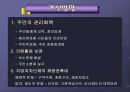 지방자치의 이해  31페이지