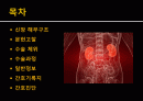 Simple Nephrotectomy 2페이지