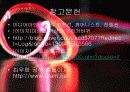 키네틱 아트(Kinetic Art) 최우람 -도시의 에너지를 먹고 사는 생명기계 8페이지