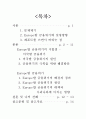 [금융학원론] 유럽(Europe)발 금융위기 2페이지