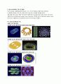 탄소나노튜브(Carbon NanoTube:CNT) - 구조 및 물성, 합성, 응용, 향후 과제 4페이지