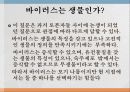 식품 오염 영향요소 -바이러스, 곰팡이 6페이지