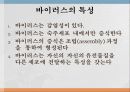 식품 오염 영향요소 -바이러스, 곰팡이 7페이지