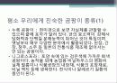 식품 오염 영향요소 -바이러스, 곰팡이 10페이지