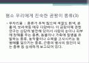 식품 오염 영향요소 -바이러스, 곰팡이 12페이지