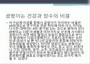 식품 오염 영향요소 -바이러스, 곰팡이 13페이지
