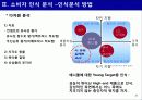 신제품 포지셔닝 전략과 제품차별화 (사례중심) 31페이지