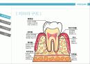 성인구강보건교육  8페이지