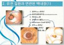 전신 및 유전질환에 동반되는 백내장 4페이지