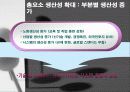 경제학교재발표용 20페이지