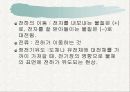 정전기 실험 이론 5페이지