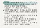 정전기 실험 이론 8페이지