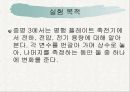 정전기 실험 이론 13페이지