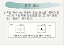 정전기 실험 이론 20페이지
