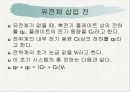 정전기 실험 이론 21페이지