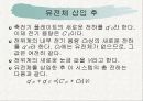 정전기 실험 이론 22페이지