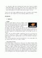 [인적자원관리] BSC (Balanced Score Card : 균형성과기록표) 사례조사 8페이지