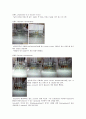 Factors That Influence Enzyme Activity 2페이지