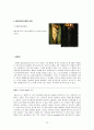 광고 소구 유형별 광고비교 - 이성적 소구,감성적 소구,기타 소구법 레포트와 교안 12페이지