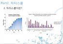 미국의 교육 개혁  19페이지