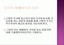 자본주의의 아비투스- 알제리의 모순  36페이지