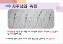 치주학 PPT자료 (3장요약) - 복사본 18페이지