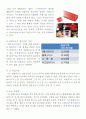미즈컨테이너 마케팅 전략분석 최종보고서 3페이지
