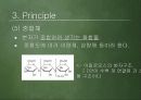 나일론이야기 13페이지