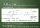 나일론이야기 16페이지