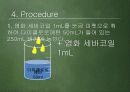 나일론이야기 17페이지