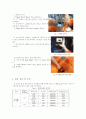 제트충돌 4페이지