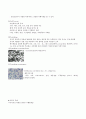 식품의 부패 6페이지