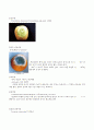 식품의 부패 9페이지