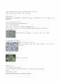 식품의 부패 11페이지
