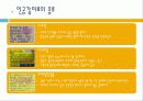 식품에사용되는첨가물(당)-달콤한 유혹 10페이지