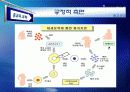 종교와과학 - 인간복제 빛과 그림자 13페이지
