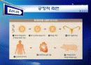 종교와과학 - 인간복제 빛과 그림자 15페이지